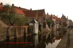 Brugge 41