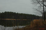 Birdwatching 4