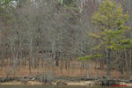 Birdwatching 9