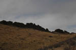 Devil's Backbone 4