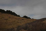 Devil's Backbone 5
