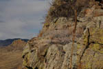 Devil's Backbone 7