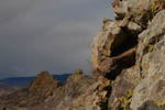 Devil's Backbone 22