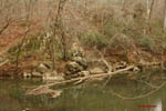 Eno River II: 8