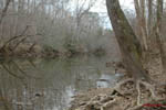 Eno River II: 11