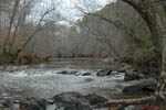 Eno River II: 12