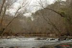 Eno River II: 13