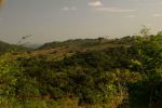 Shimba Hills 11