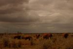 Tsavo East 7