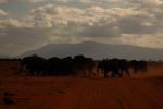 Tsavo East 35