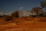 Tsavo East 53