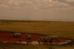 Amboseli 9