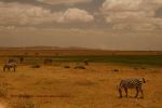 Amboseli 13