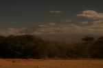 Amboseli 20