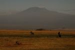 Amboseli 47