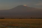 Amboseli 38