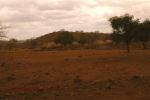 Tsavo West 1