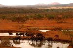 Tsavo West 13