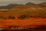 Tsavo West 26