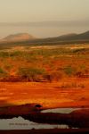 Tsavo West 27