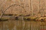 Little River Reflections 4