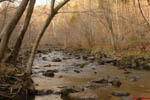 Little River Reflections 7