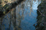 NC Winter 10