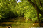 Springtime On The Eno 10