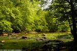 Springtime On The Eno 15