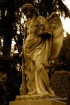 Varadin Graveyard 31
