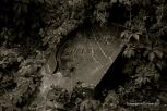 Varadin Graveyard 33