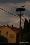 Rural Hungary 1