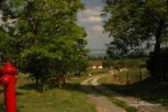 Rural Hungary 6