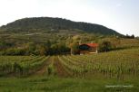 Rural Hungary 17