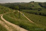 Rural Hungary 20