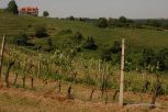 Rural Hungary 22