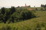 Rural Hungary 25