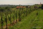Rural Hungary 26