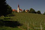 Rural Hungary 29