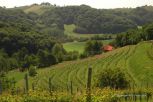Hungary Countryside