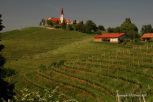 Rural Hungary 32