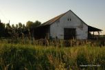Rural Hungary 138