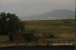 June 2007 In Colorado 11
