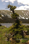 June 2007 In Colorado 35