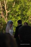 Spring Wedding 6