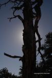 Lyons Ghost Town 5