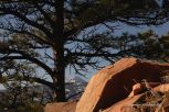 Lyons Ghost Town 10