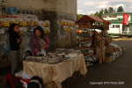 Valdivia & Pucon 17