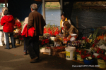 Valdivia & Pucon 26
