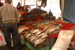 Valdivia & Pucon 27